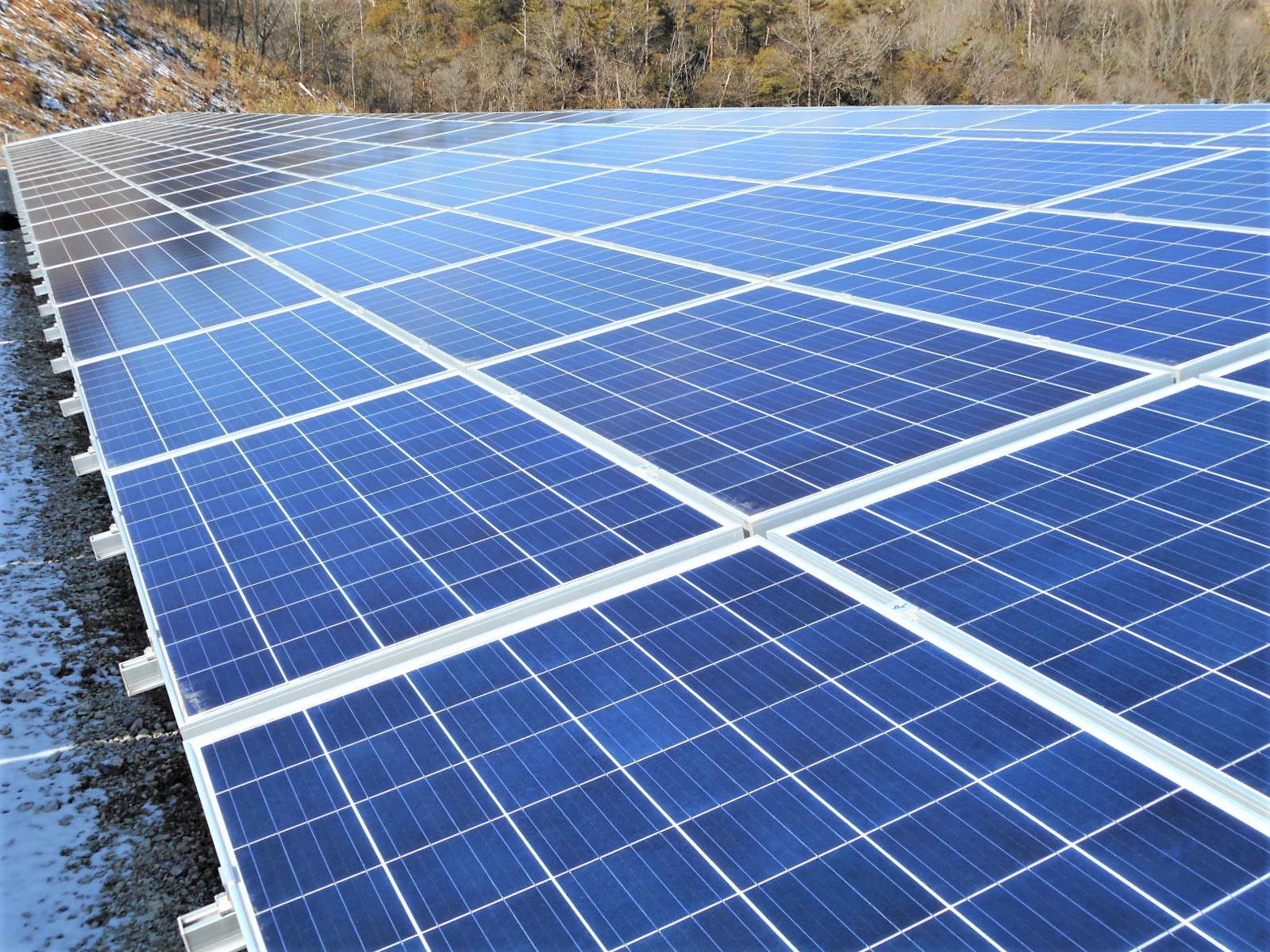 省エネ・クリーンエネルギー